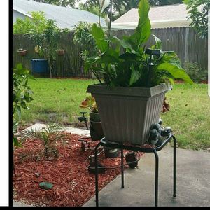 Meet your Posher, Johnetta